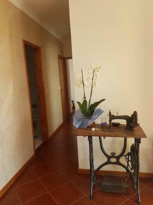 Beach-surf House Appartement *